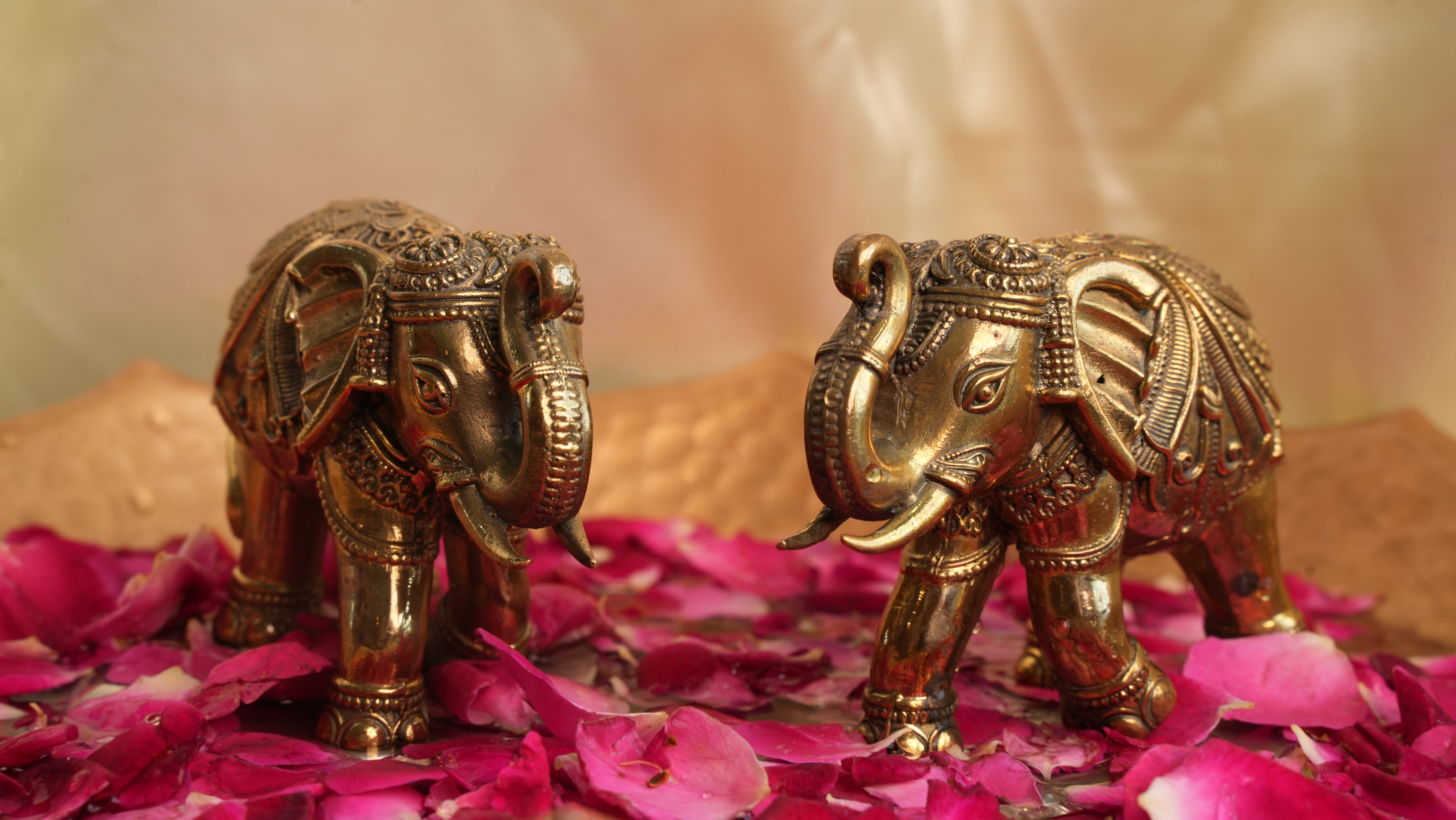 Brass Vastu Elephant Murti Pair | Trunk Up Idol for Good Luck, Prosperity & Strength