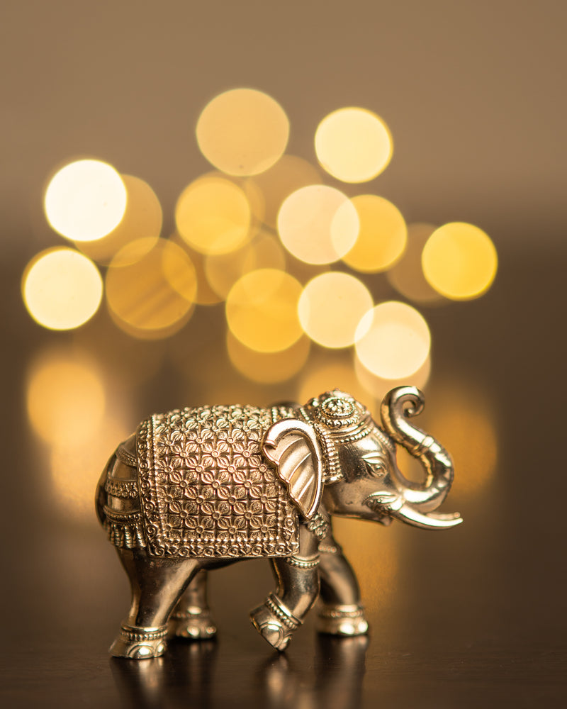 Brass Vastu Elephant Set of 2 | Trunk Up Pair for Prosperity, Luck & Strength