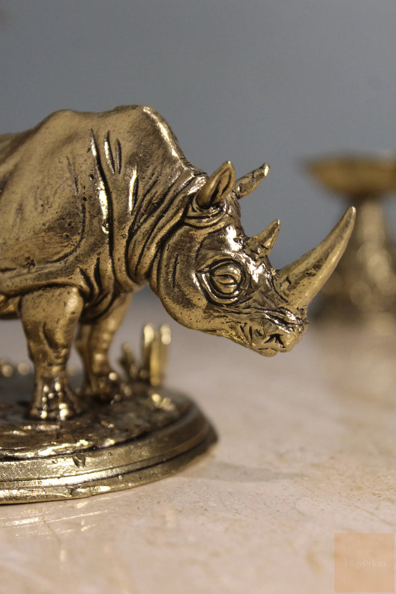 Brass Feng Shui Rhinoceros Protection Statue (3.25")