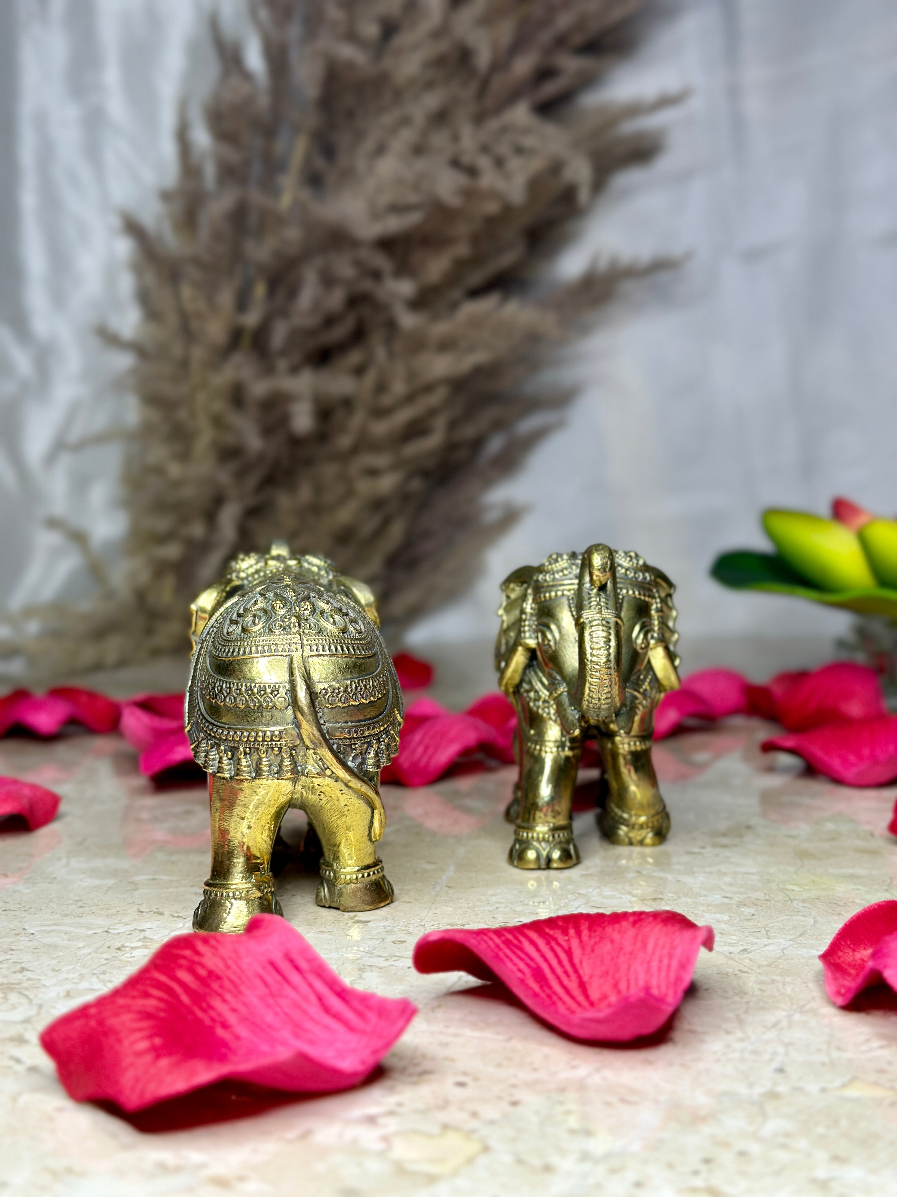 Brass Vastu Elephant Murti with Trunk Up Idol - Pair
