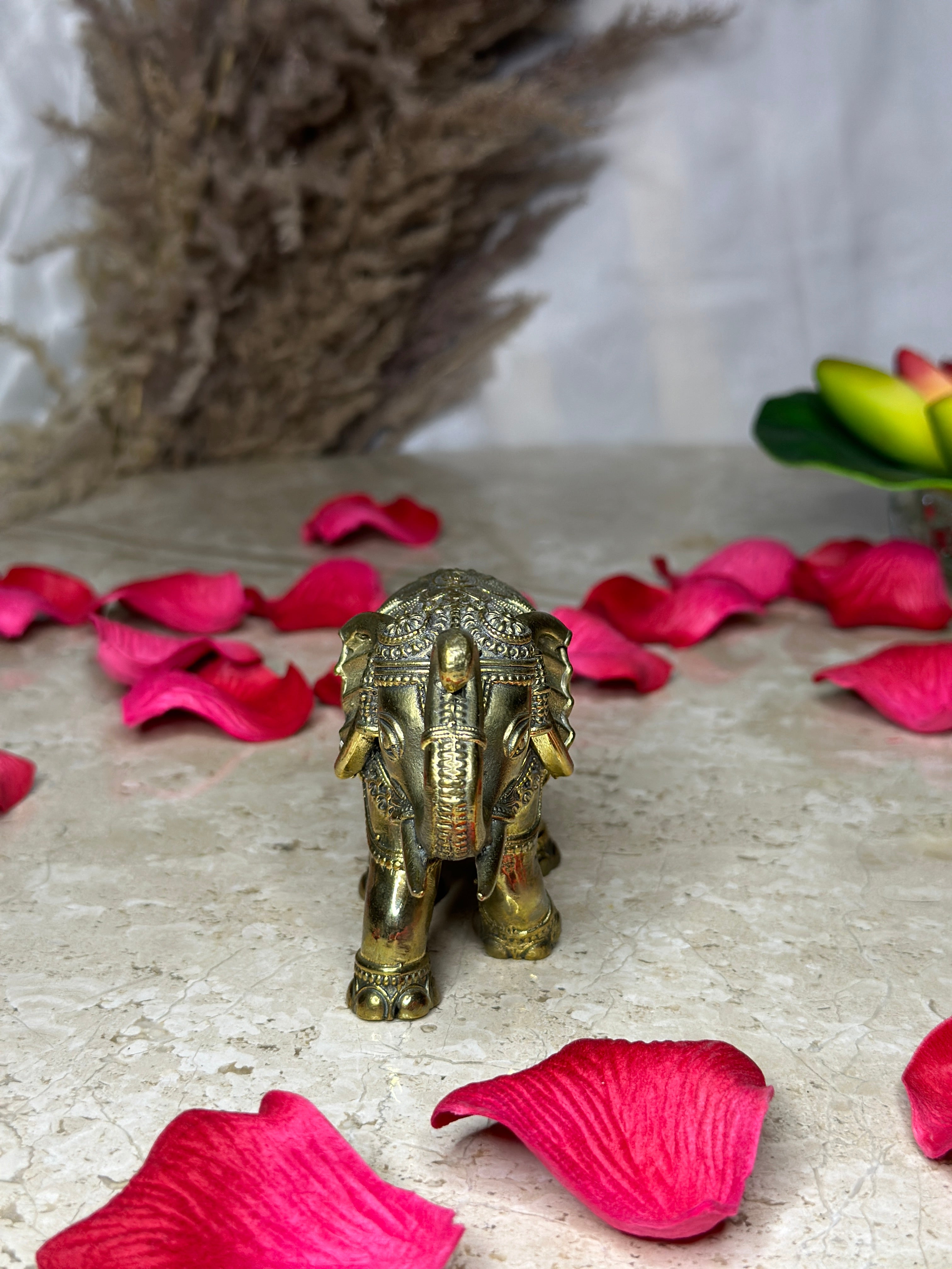 Brass Vastu Elephant Murti with Trunk Up Idol - Pair