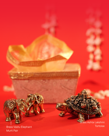 Siddhi Vastu Gift Hamper with Brass Tortoise & Elephant Pair | Rigvedaa™