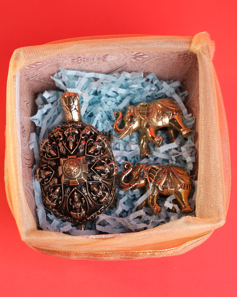 Siddhi Vastu Gift Hamper with Brass Tortoise & Elephant Pair | Rigvedaa™