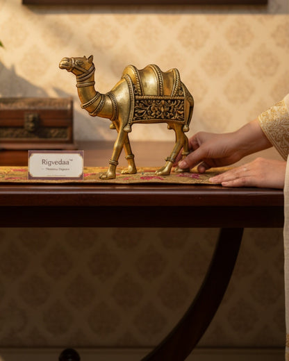 Rigvedaa™ brass desert camel statue with intricate detailing and traditional motifs, symbol of good fortune and Rajasthani heritage.
