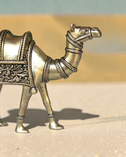 Rigvedaa™ brass desert camel statue with intricate detailing and traditional saddle work, symbolizing endurance and Rajasthani heritage.
