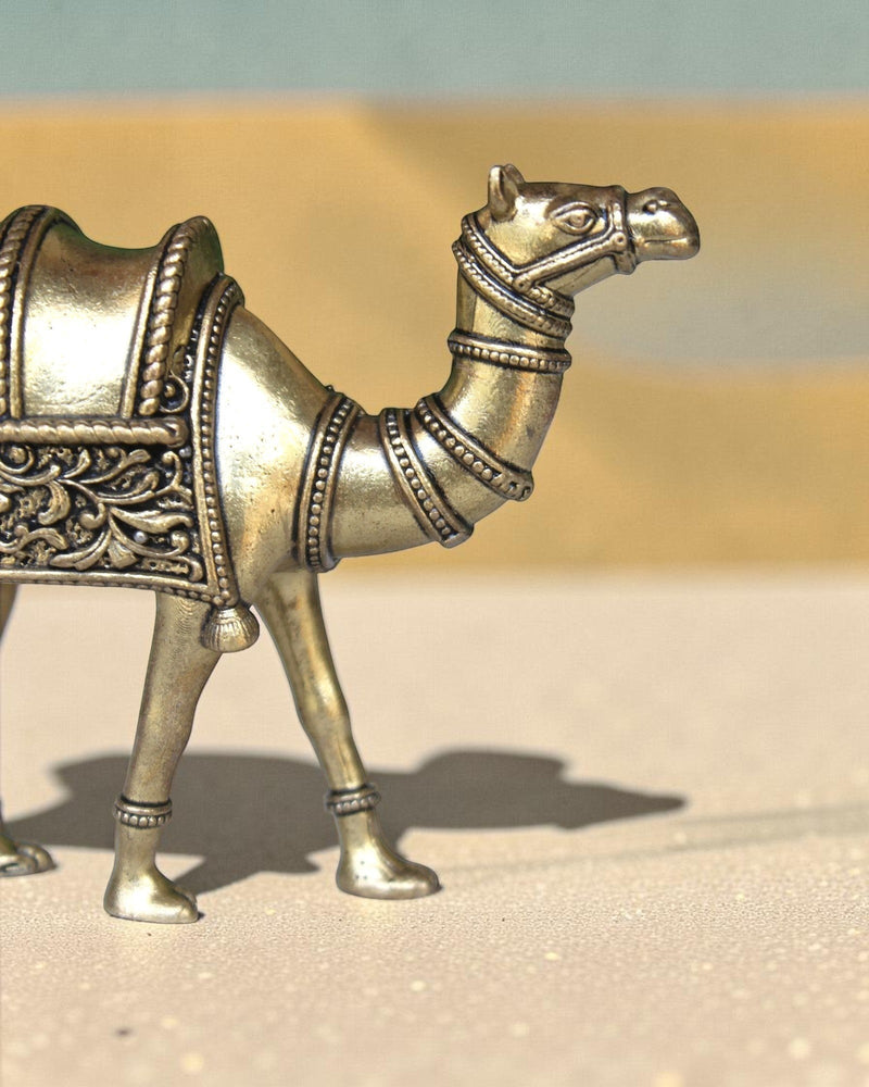 Rigvedaa™ brass desert camel statue with intricate detailing and traditional saddle work, symbolizing endurance and Rajasthani heritage.