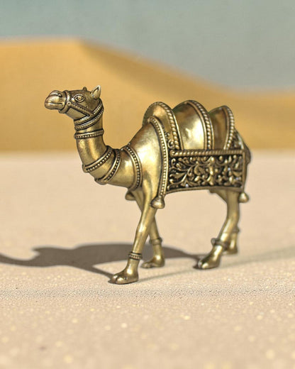 Rigvedaa™ brass desert camel statue with intricate detailing and traditional saddle work, symbol of good fortune and Rajasthani heritage.