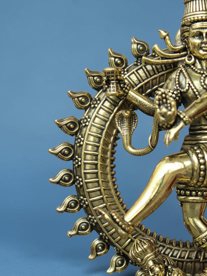 Close-up of a Rigvedaa™ brass Nataraja statue showing intricate details of the cobra and ring of fire.